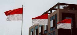 Indonesian flags flying for independence day