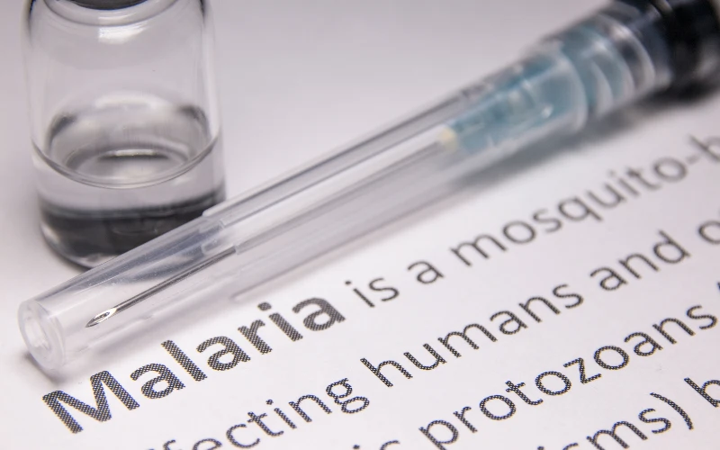 Additional Information on Malaria in Indonesia