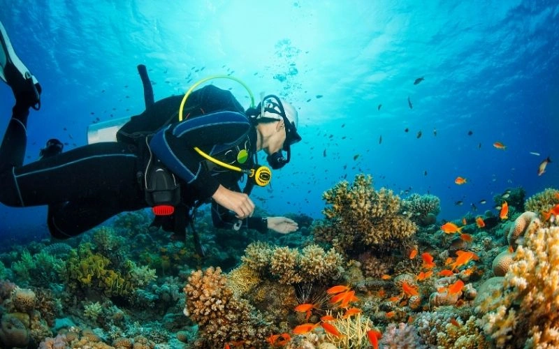Water World – Diving in East Bali, Indonesia