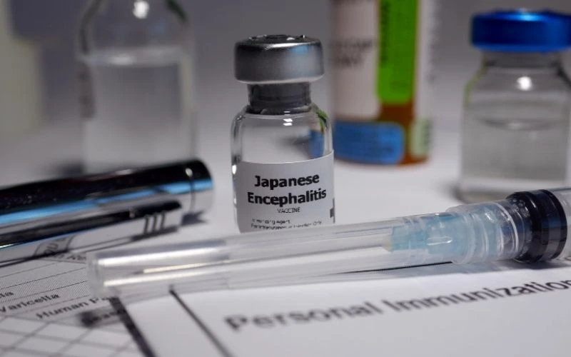 Japanese Encephalitis in Indonesia