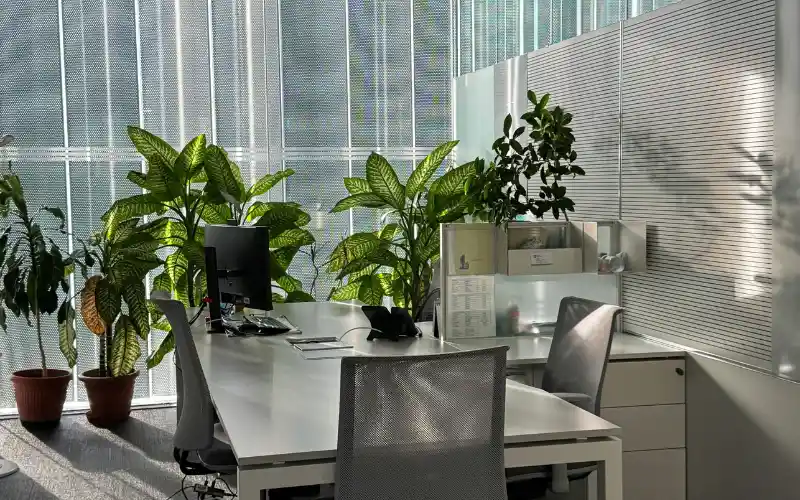 Serviced Offices