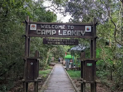 Tanjung Puting National Park & Camp Leakey