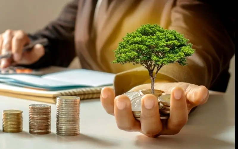 Foreign Investment and Company Establishment