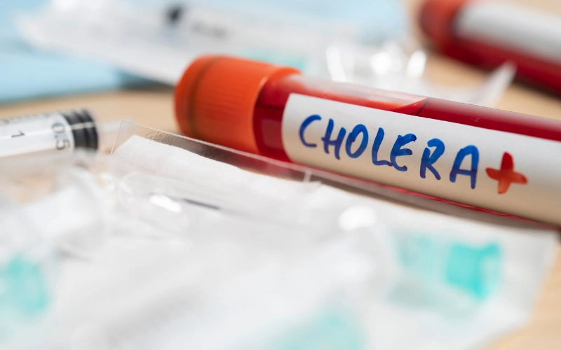 Cholera in Indonesia