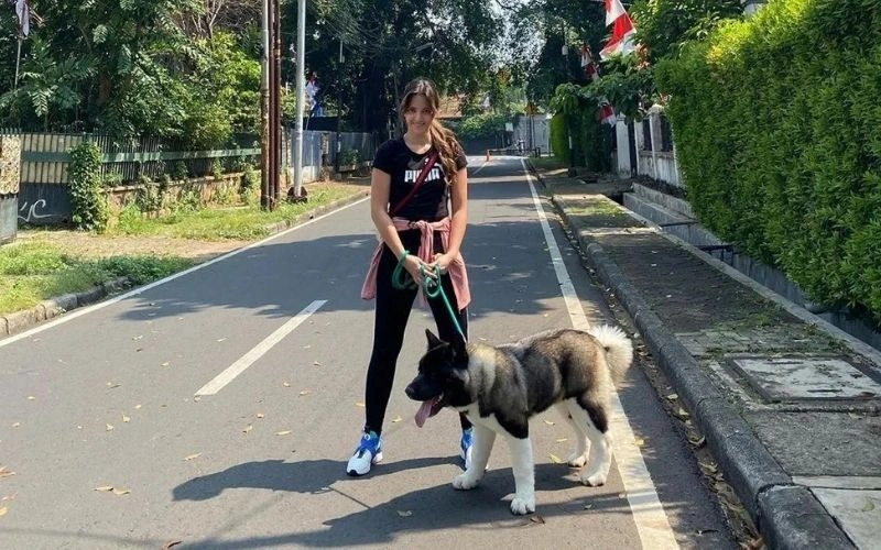 Jakarta Canine Nightingales