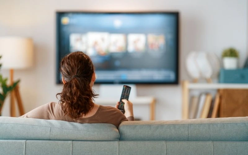 Television and Home Entertainment in Indonesia