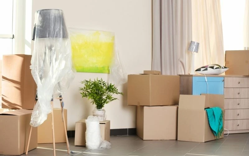 Import Regulations Household Goods and Personal Effects