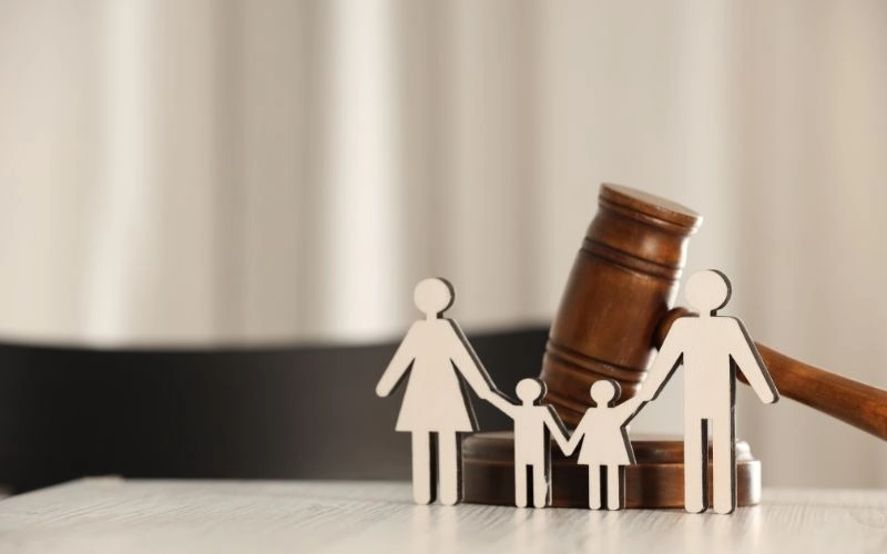 Certificate of Custody Rights for Children